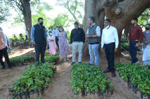 बस्तर जिला प्रभारी सचिव डाॅ. तंबोली ने किया धान खरीदी केंद्र का निरीक्षण, काॅफी प्लांटेशन, बस्तर पपीता, बादल व कलागुड़ी का किया अवलोकन