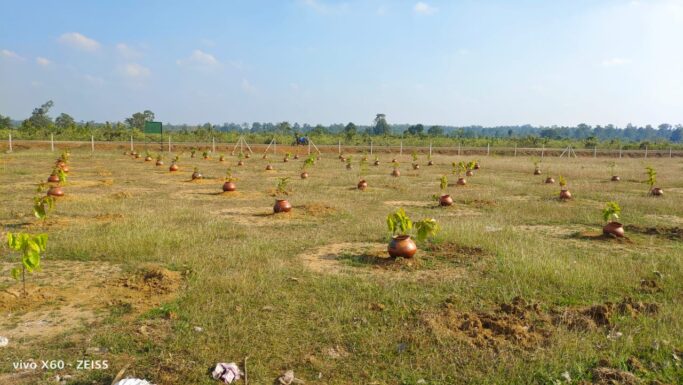 अनूठी तकनीक : बस्तर-दशहरा में रथ निर्माण के लिए कटे वृक्षों के एवज में वृहद वृक्षारोपण, मटके से टपकती पानी की बूंदों से हो रही पौधों की सिंचाई