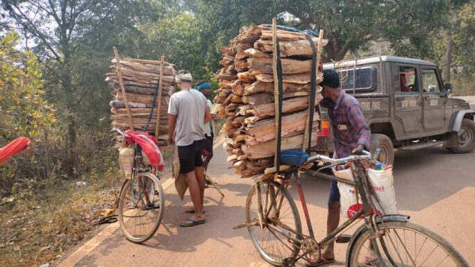 जलाऊ लकड़ी समेत 06 तस्करों पर वन विभाग की कार्रवाई, लगभग 02 क्विंटल लकड़ी जप्त