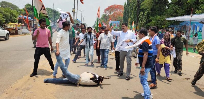 मुद्दा विहीन भाजपा, कांग्रेस से मुकाबला करने ईडी का ले रही है सहारा – विधायक विक्रम मंडावी