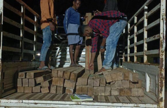 वन परिक्षेत्र जगदलपुर की टीम ने देर रात की कार्रवाई, पकड़ा लाखों के साल चिरान से भरा वाहन