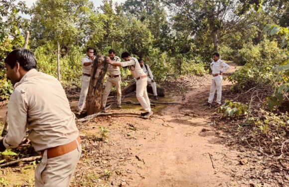 वनमंत्री केदार कश्यप के निर्देश पर वन भूमि को बेजा कब्जा से मुक्त कराने कार्रवाई जारी, 23 के विरूद्ध प्रकरण दर्ज