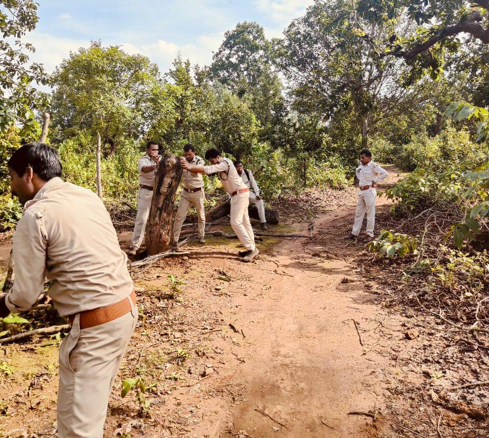 वनमंत्री केदार कश्यप के निर्देश पर वन भूमि को बेजा कब्जा से मुक्त कराने कार्रवाई जारी, 23 के विरूद्ध प्रकरण दर्ज