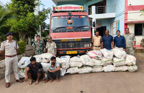 बस्तर पुलिस की बड़ी कार्रवाई, 804 किलोग्राम गांजा समेत दो अंतर्राज्यीय तस्कर गिरफ्तार