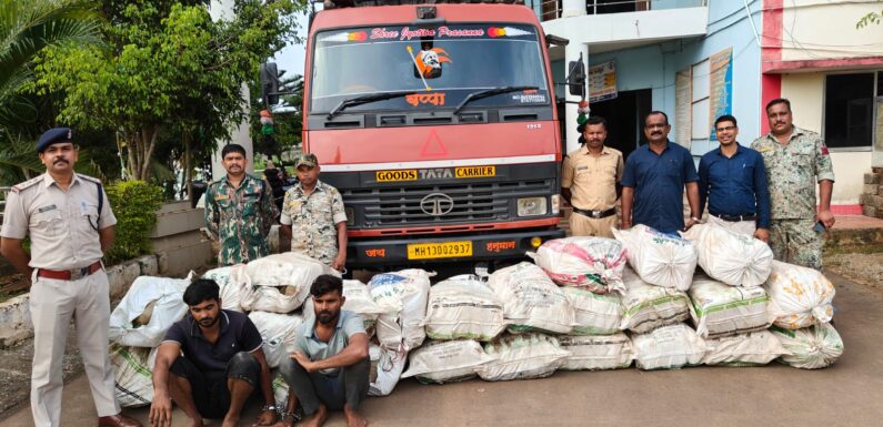 बस्तर पुलिस की बड़ी कार्रवाई, 804 किलोग्राम गांजा समेत दो अंतर्राज्यीय तस्कर गिरफ्तार